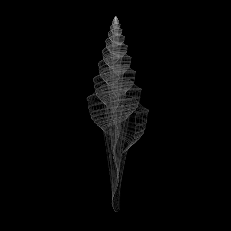 form of nature - shell 02